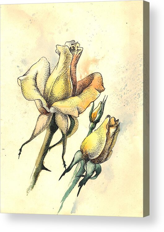  Acrylic Print featuring the mixed media Yellow Roses in watercolor and stippling by Alena Nikifarava