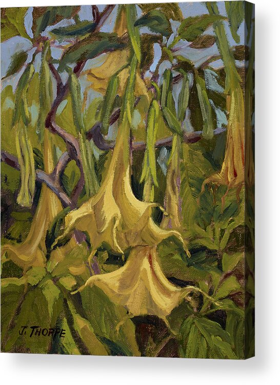 Yellow Trumpets Acrylic Print featuring the painting Yellow Trumpets by Jane Thorpe