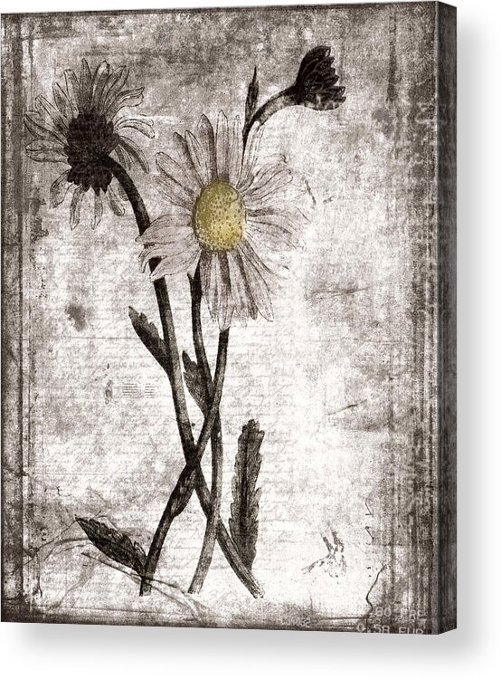 Digital Collage Acrylic Print featuring the digital art Yesterday's Garden II by Bonnie Bruno