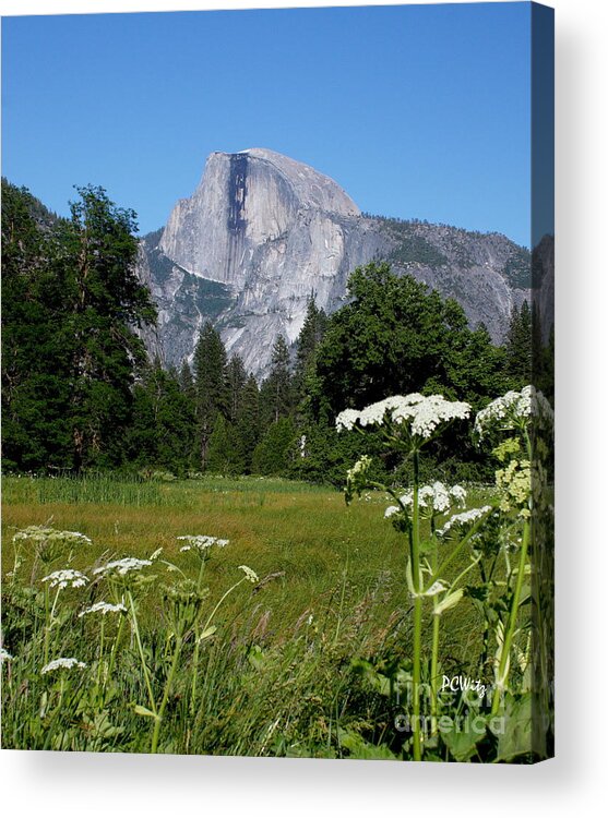 Yosemite Acrylic Print featuring the photograph Yosemite Spring by Patrick Witz