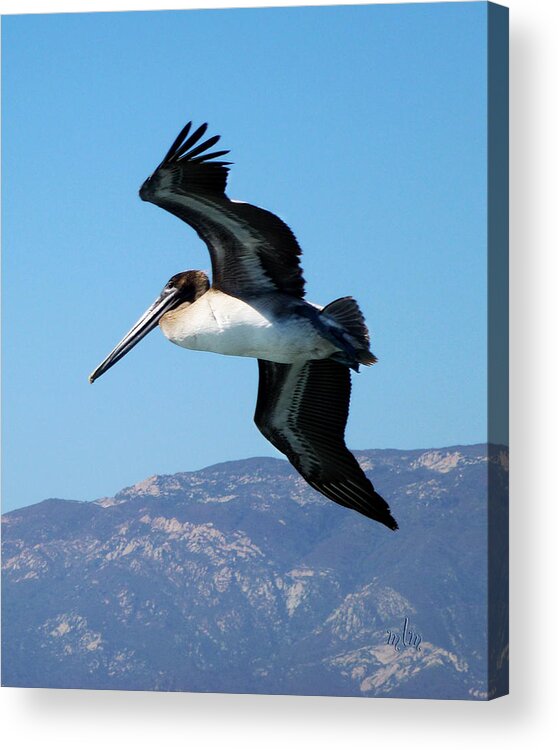 Bird Acrylic Print featuring the photograph Above it All by Marie Morrisroe