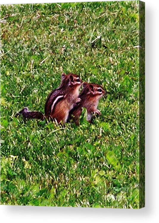 Animal Acrylic Print featuring the digital art Baby Chipmunks Number 6 by Smilin Eyes Treasures
