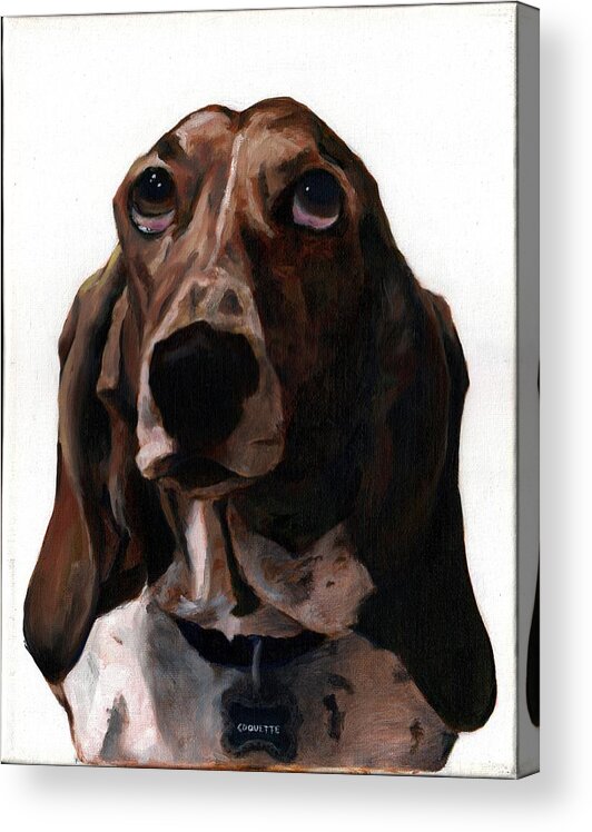 Basset Hound Acrylic Print featuring the painting Basset Hound named Coquette by Thomas Weeks