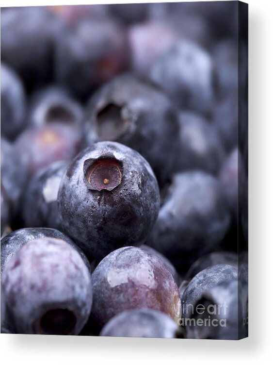 Agriculture Acrylic Print featuring the photograph Blueberries by Jane Rix