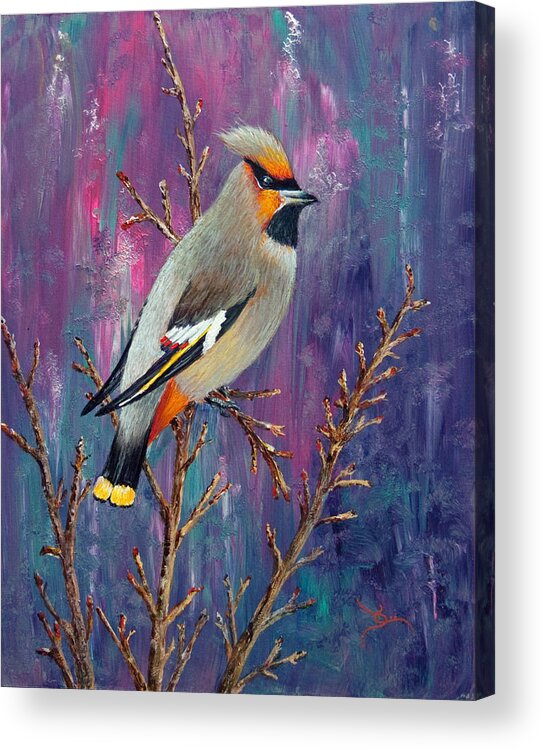 Bohemian Waxwing Acrylic Print featuring the painting Bohemian Waxwing by Dee Carpenter
