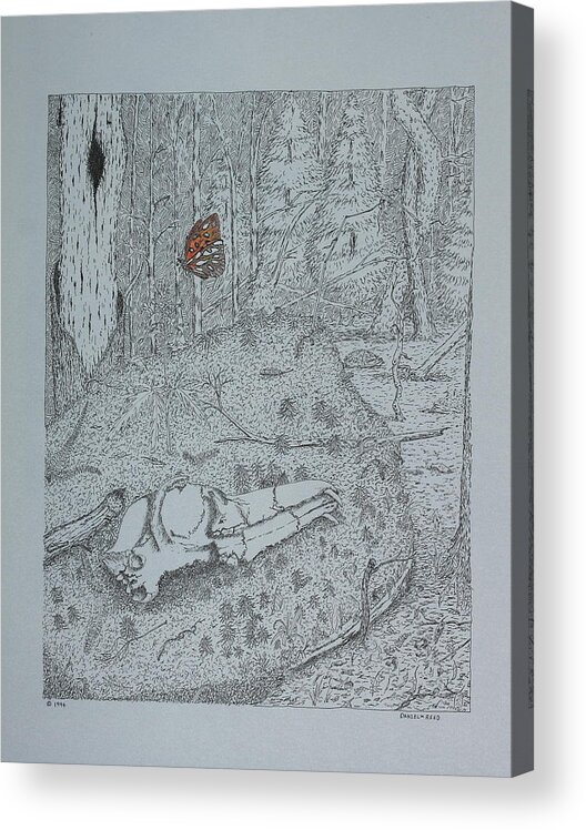 Nature Acrylic Print featuring the drawing Canine Skull And Butterfly by Daniel Reed