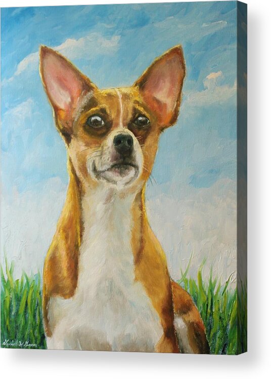 Chihuahua Acrylic Print featuring the painting Chihuahua by Daniel W Green