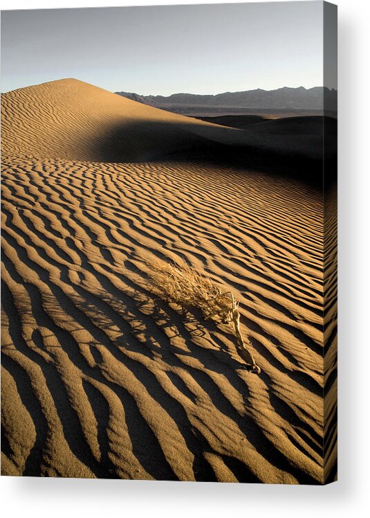 death Valley Acrylic Print featuring the photograph Dry by Mike Irwin