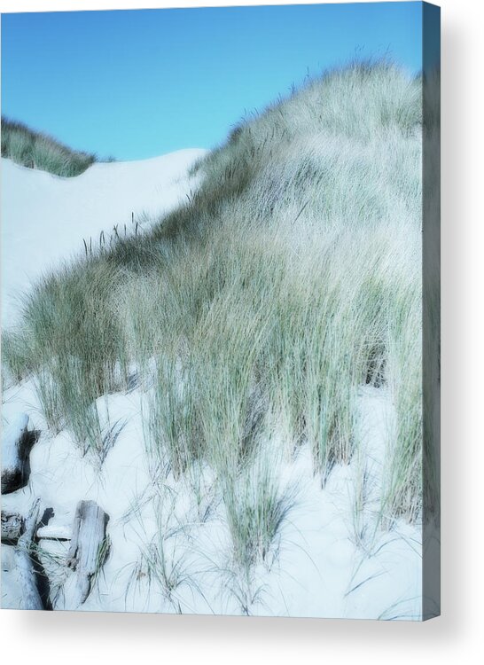 Sand Dune Acrylic Print featuring the photograph Dune by Bonnie Bruno