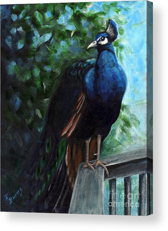 Peacock Acrylic Print featuring the painting Hard to Camouflage by Pat Burns