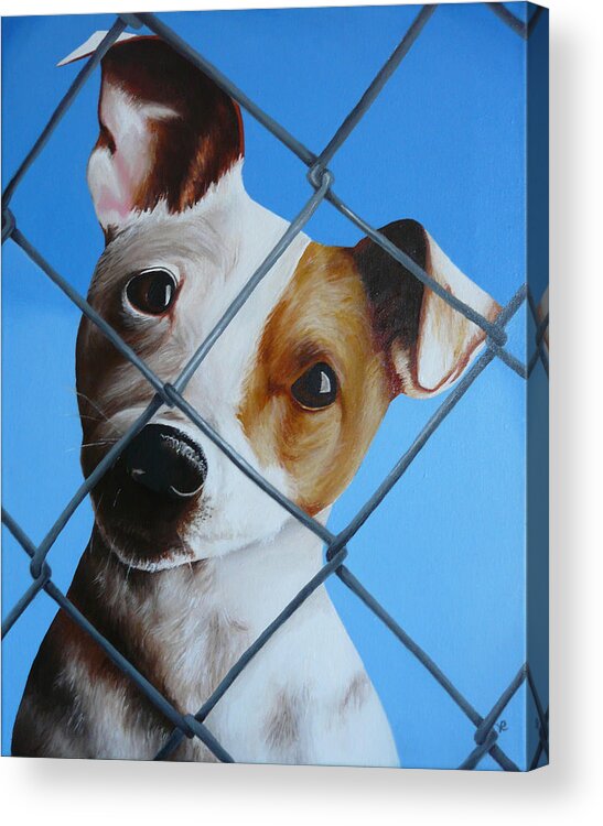 Pet Acrylic Print featuring the painting Help Release Me VI by Vic Ritchey