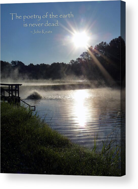 Water Acrylic Print featuring the photograph Morning at the Fish Hatchery Inspirational by Terry Eve Tanner