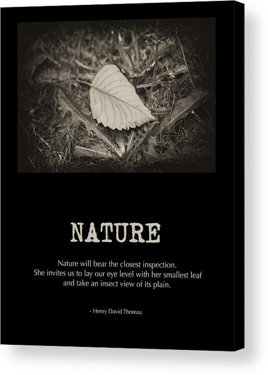 Poster Art Acrylic Print featuring the photograph Nature by Bonnie Bruno