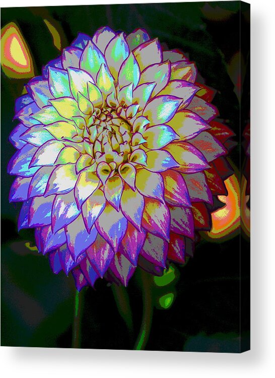 Flowers Acrylic Print featuring the photograph Open for Pleasure Flowart by Ben Upham III