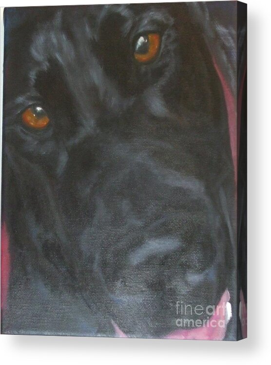Dog Acrylic Print featuring the painting Ozzy by M J Venrick