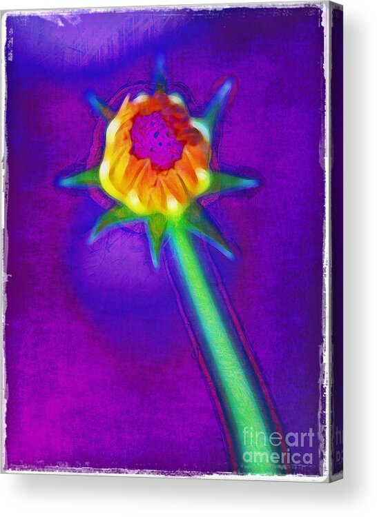 Abstract Acrylic Print featuring the photograph Reaching for the Light by Judi Bagwell