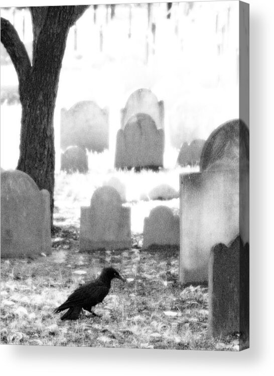 Crow Acrylic Print featuring the photograph Spirit Guardian by Brooke T Ryan