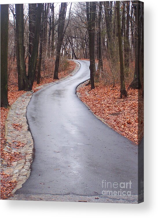 Road Acrylic Print featuring the photograph The Long and Winding Road by Anne Ferguson