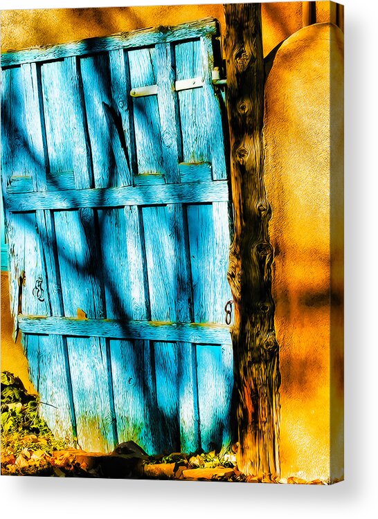 Door Acrylic Print featuring the photograph The Old Blue Door by Terry Fiala