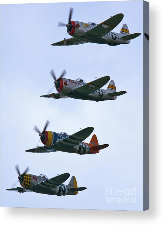 P-47 Acrylic Print featuring the photograph Thunderbolt Echelon by Tim Mulina