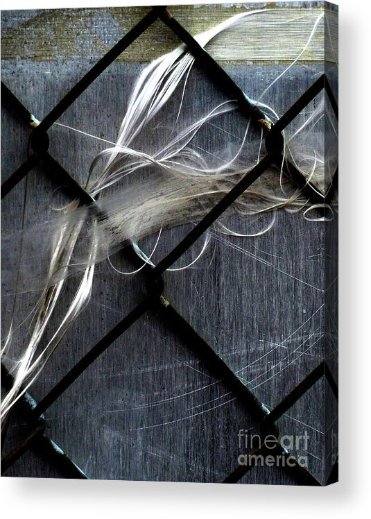 Steel Acrylic Print featuring the photograph Whispered by Newel Hunter