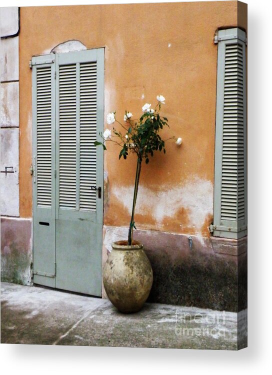 Door And Windows Acrylic Print featuring the photograph White Roses at Front Door by Lainie Wrightson