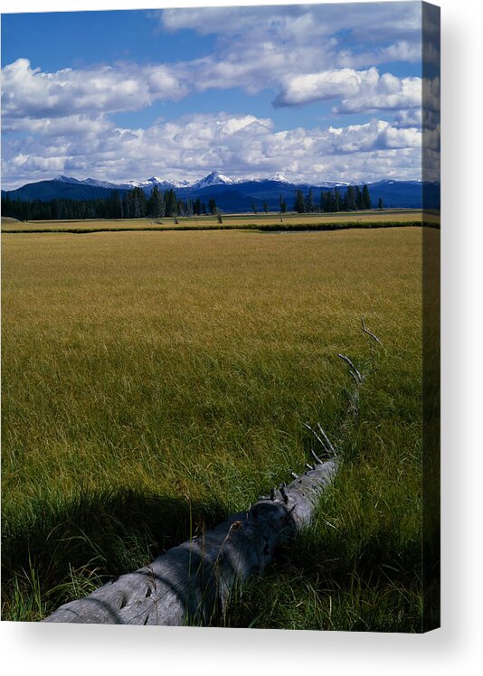 Yellowstone Log Acrylic Print featuring the photograph Yellowstone Log by J L Woody Wooden