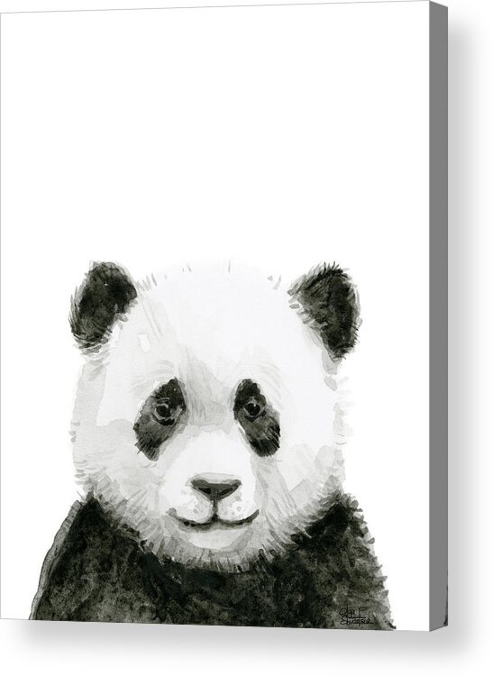 Baby Panda Acrylic Print featuring the painting Baby Panda Watercolor #2 by Olga Shvartsur