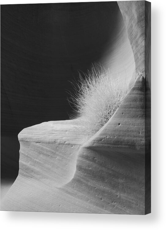 Canyon Acrylic Print featuring the photograph Canyon X - Navajo Lands #1 by Carl Amoth