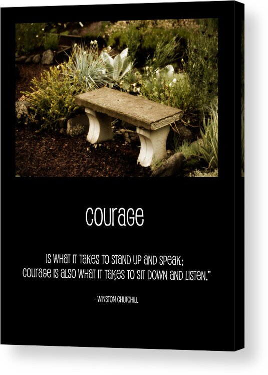 Fine Art Posters Acrylic Print featuring the photograph Courage #1 by Bonnie Bruno