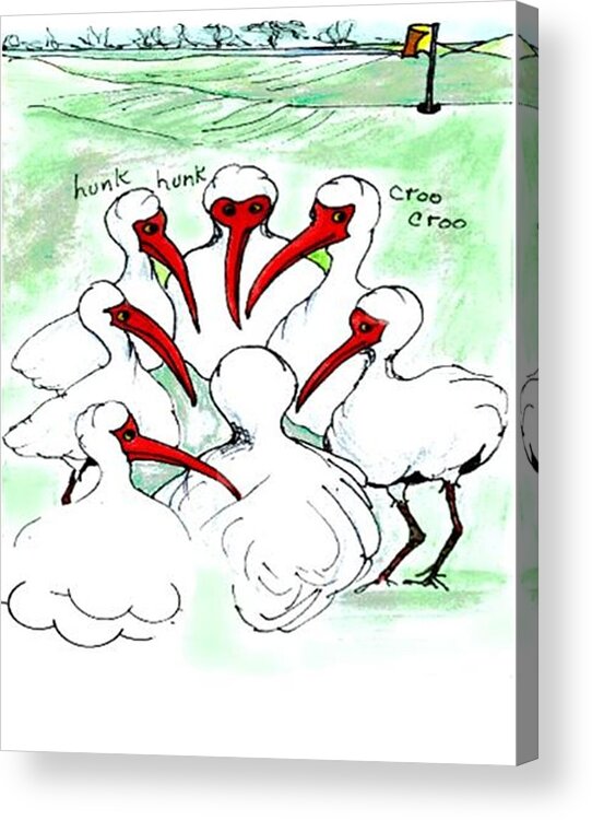 Ibis Acrylic Print featuring the drawing Gossiping ibis #1 by Carol Allen Anfinsen
