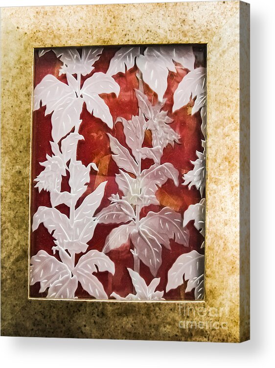 Red Acrylic Print featuring the glass art Interpenetrating Images by Alone Larsen