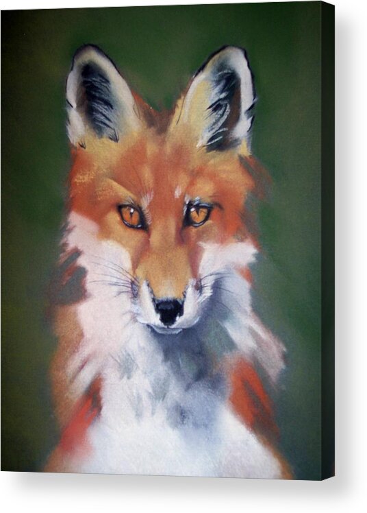 Young Fox Acrylic Print featuring the pastel Lil' Rudy by Marika Evanson