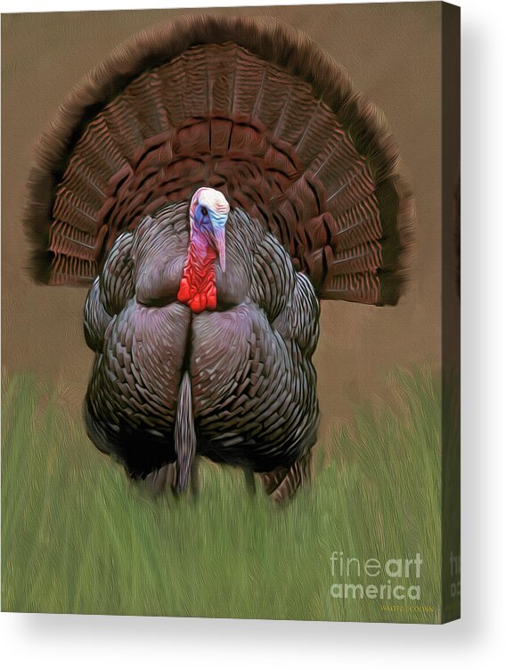 Wild Turkey Acrylic Print featuring the digital art Wild Turkey #1 by Walter Colvin
