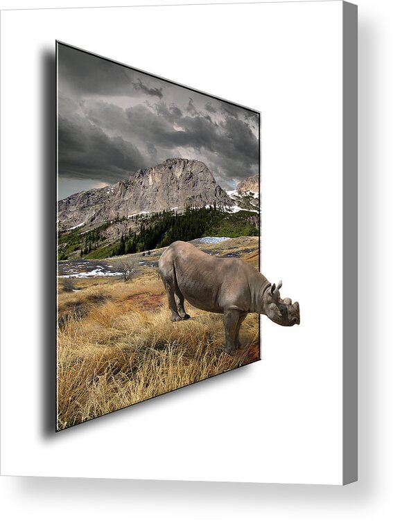 Rhino Acrylic Print featuring the photograph 116 by Peter Holme III