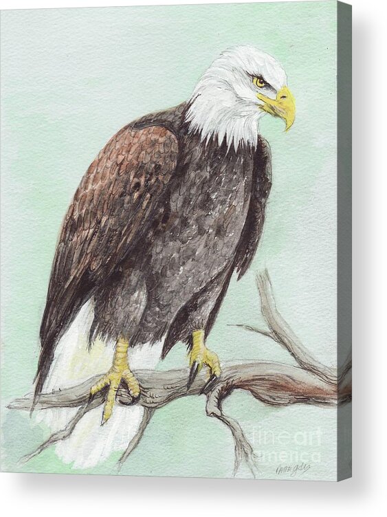 America Acrylic Print featuring the painting Bald Eagle #2 by Morgan Fitzsimons