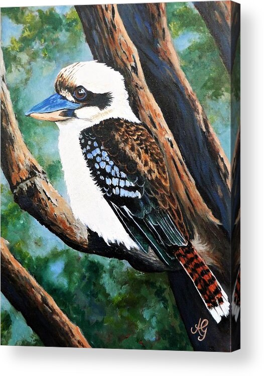 Australia. Acrylic Acrylic Print featuring the painting Kookaburra #1 by Anne Gardner