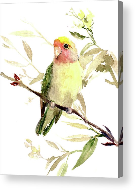 Lovebird Acrylic Print featuring the painting Lovebird #2 by Suren Nersisyan