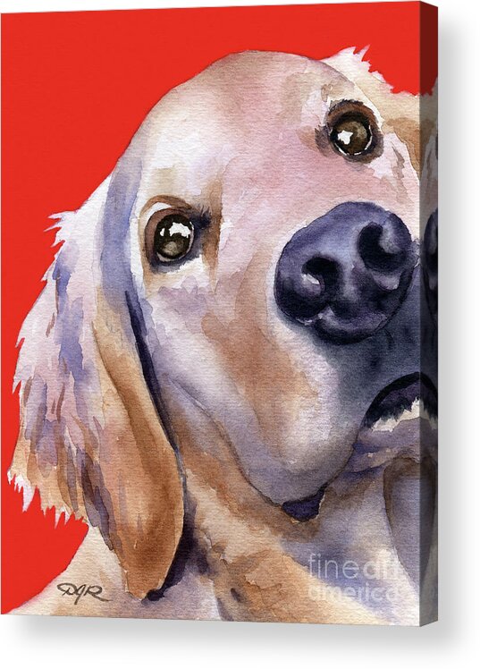 Golden Acrylic Print featuring the painting Golden Retriever #2 by David Rogers