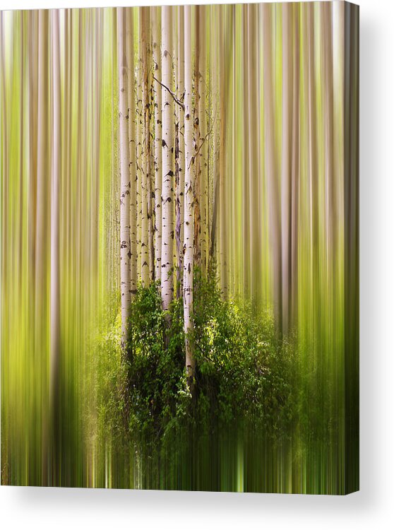 Trees Acrylic Print featuring the photograph 4012 by Peter Holme III