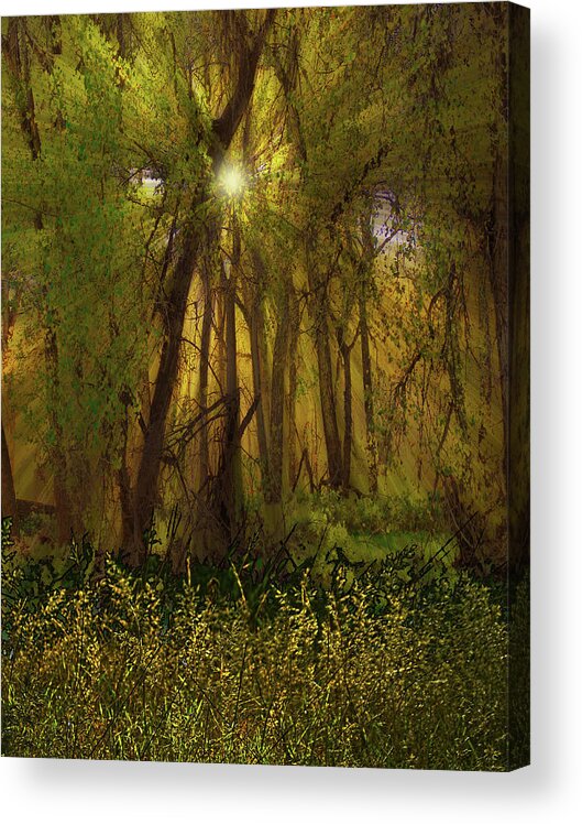 Trees Acrylic Print featuring the photograph 4368 by Peter Holme III