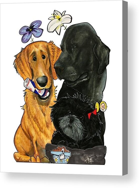 Pet Portrait Acrylic Print featuring the drawing 7-1396 Scallon by John LaFree