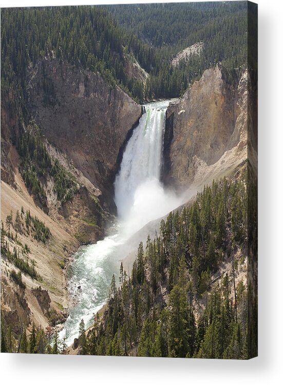 Wyoming Acrylic Print featuring the photograph Yellowstone National Park by Mark Smith