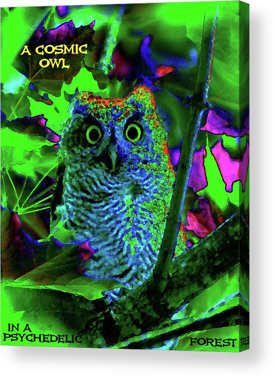 Owl Acrylic Print featuring the photograph A Cosmic Owl in a Psychedelic Forest by Ben Upham III