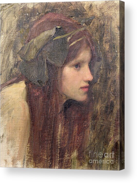 Naiad Acrylic Print featuring the painting A Study for a Naiad by John William Waterhouse