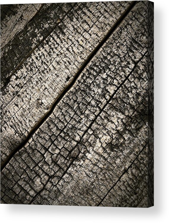 Scary Acrylic Print featuring the photograph Abstract Old Rotten Wood by Jozef Jankola