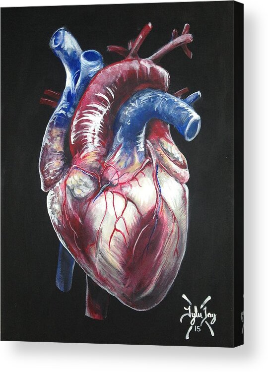 Anatomical Heart Acrylic Print by Tyler Haddox - Fine Art America