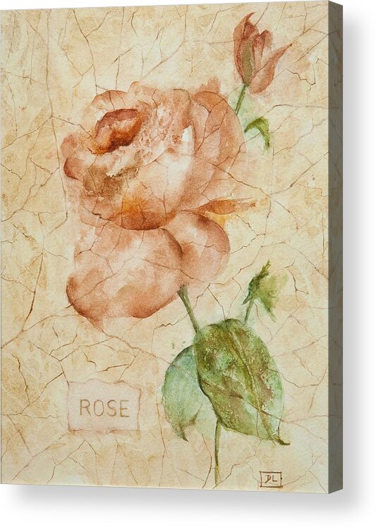 Rose Acrylic Print featuring the painting Antique Rose by Debbie Lewis