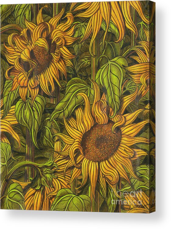 Impressionism Acrylic Print featuring the drawing Autumn Suns by Scott Brennan