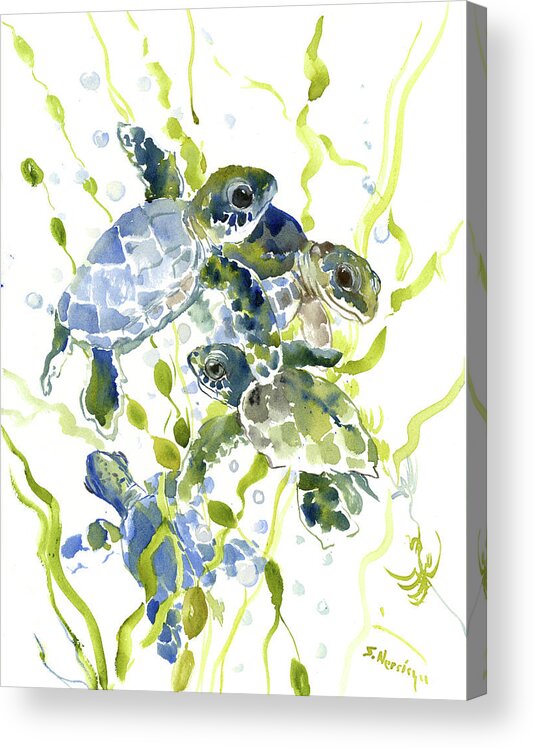 Baby Sea Turtles In The Sea Acrylic Print By Suren Nersisyan